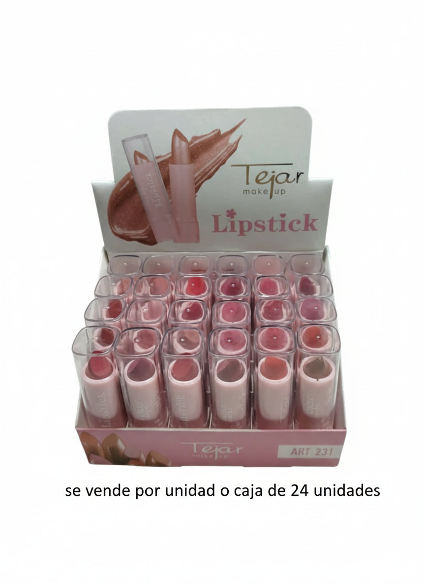 GMF-LABIAL STICK TEJAR MAKEUP COD.01963