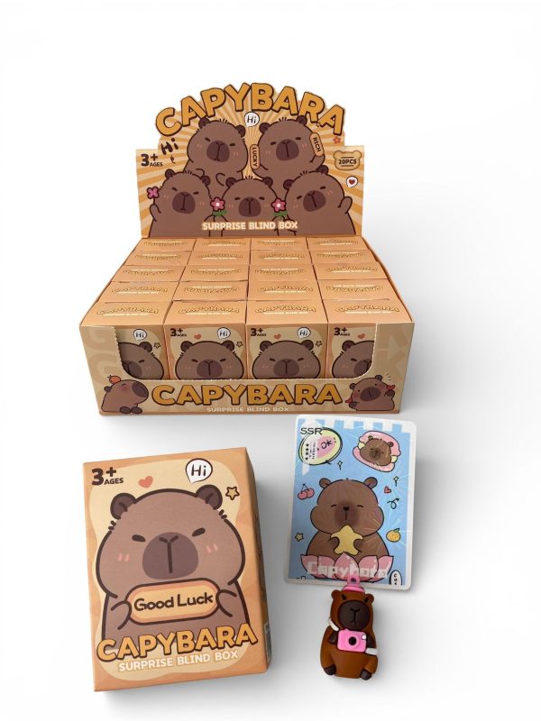IHT-CAJA SORPRESA DE CAPIBARA