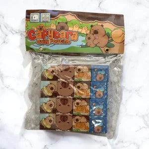 IHT-CUBO IMANTADA CAPIBARA X16