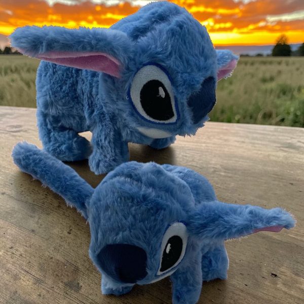 STITCH A PILA